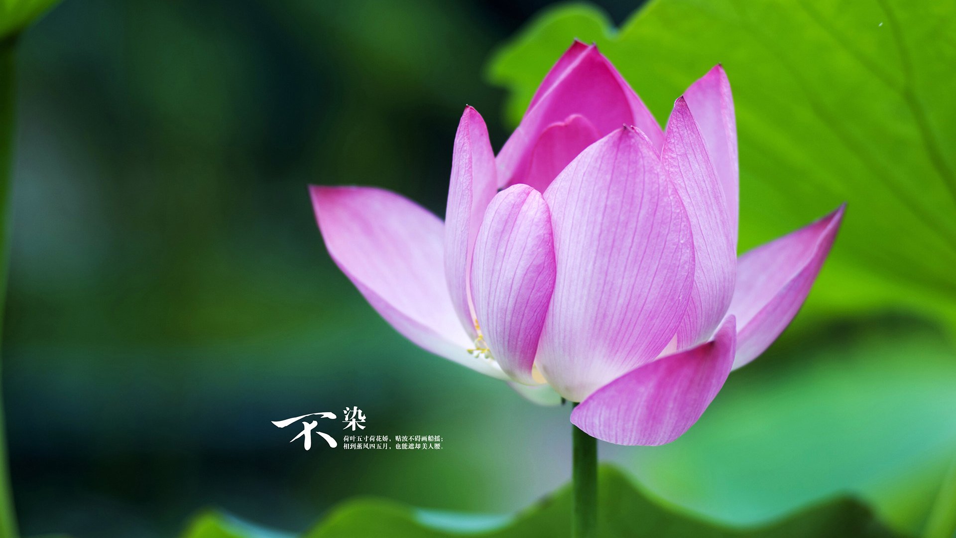 爱游戏体育入口-意甲VAR系统引入语义数据库增强判罚流程效率，意甲var使用规则